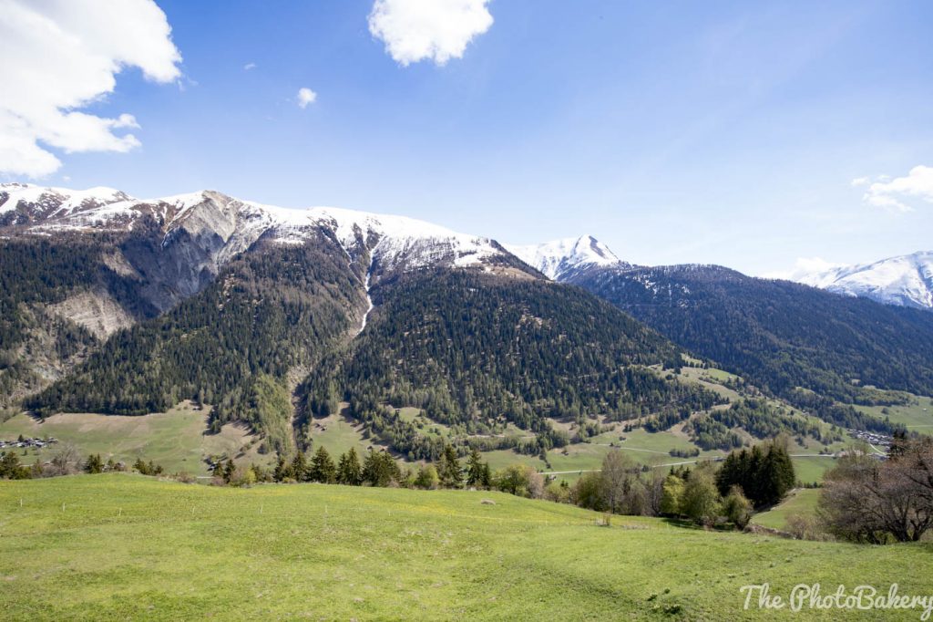 Blick ins Tal Obergoms mit schneebedeckten Bergen und grünen Wiesen