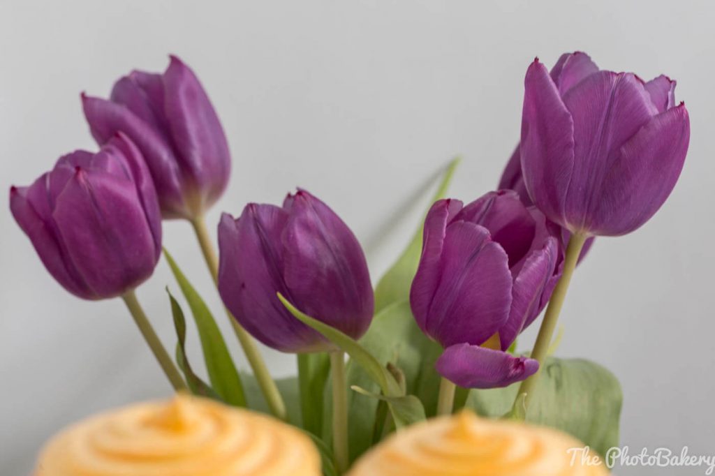 lila Tulpen mit gelben Zitronen Cupcakes im Vordergrund